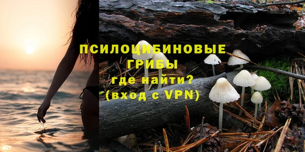 ешки Абдулино