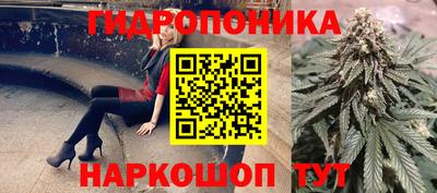 СК Гай