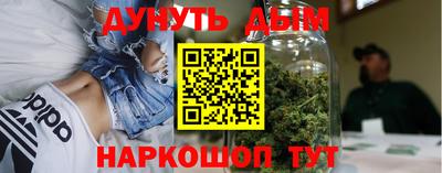 a pvp Гатчина