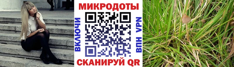 Псилоцибиновые грибы Magic Shrooms  ОМГ ОМГ сайт  Отрадный 